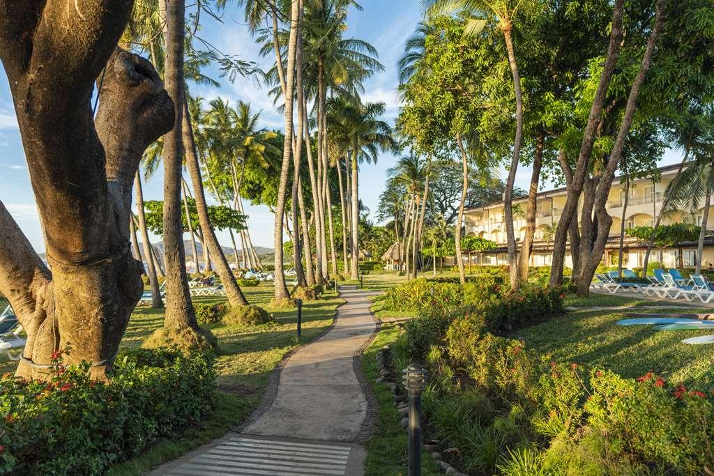 Hotel Tamarindo Diria Beach Resort สิ่งอำนวยความสะดวก รูปภาพ