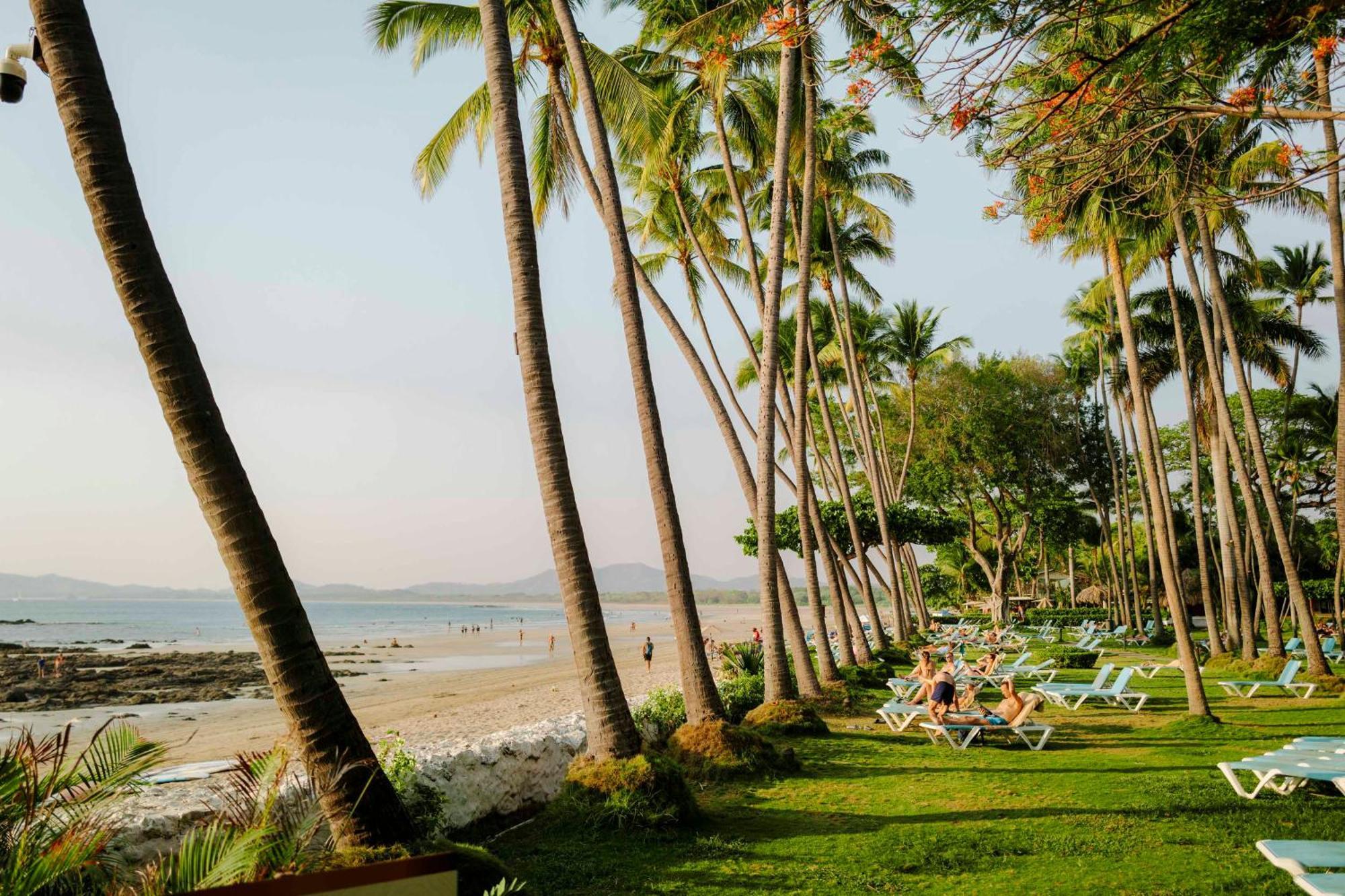 Hotel Tamarindo Diria Beach Resort ภายนอก รูปภาพ
